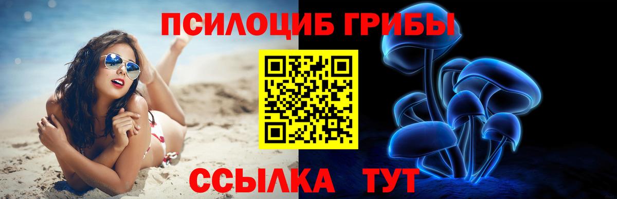 Псилоцибиновые грибы Psilocybine cubensis Приморско-Ахтарск